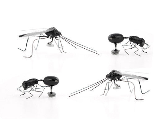 Kikkerland Insect Magnets Set of 4 - Fun Refrigerator Magnets for Kids & Adults - Perfect for Home, Office, or Classroom Decor