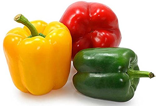 Non-GMO Heirloom Rainbow Sweet Bell Pepper Seeds for Planting - Colorful Mix for Home Gardens, Greenhouses & Urban Farming