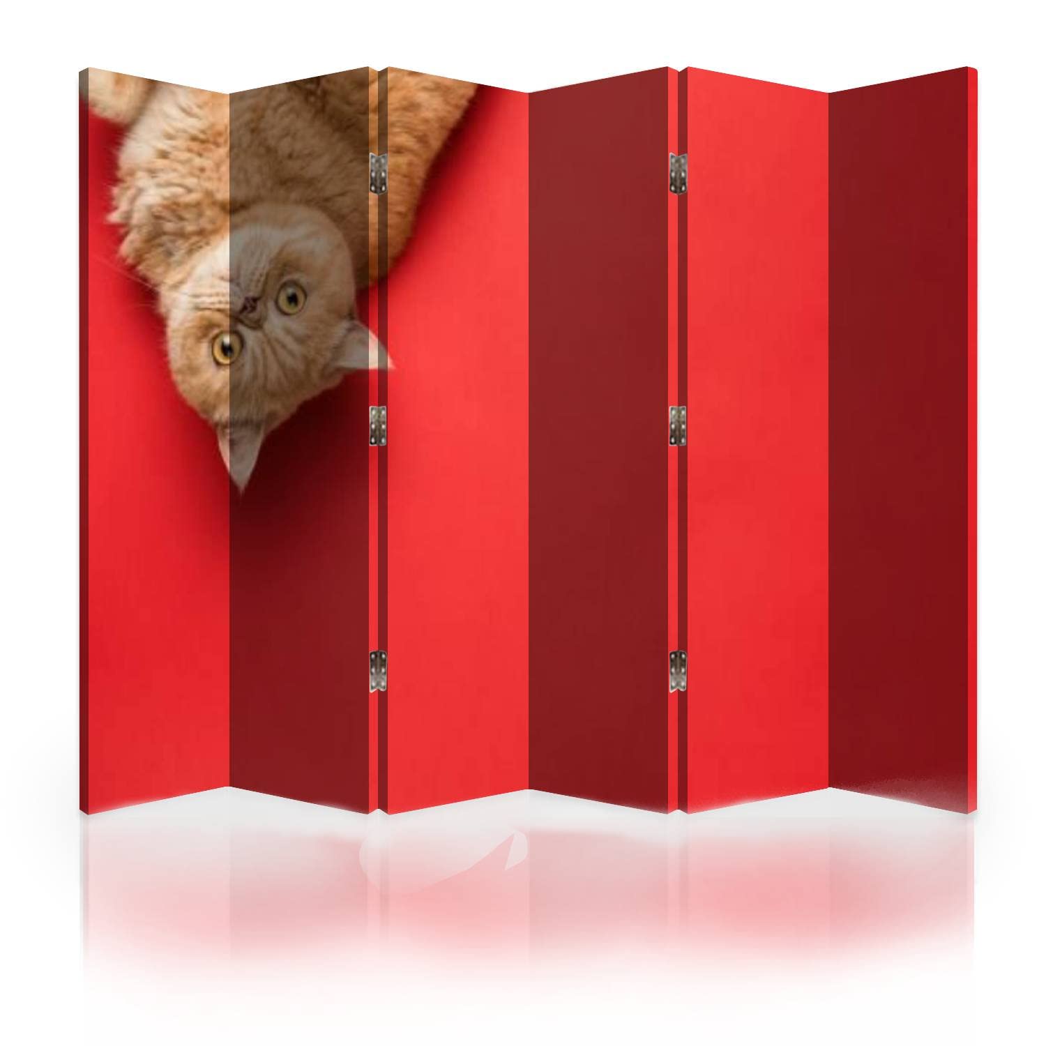 6-Panel Canvas Room Divider Screen with Ginger Exotic Shorthair Cat Design - Foldable Privacy Partition for Bedroom, Office & Living Room | Home Decor & Space Separator