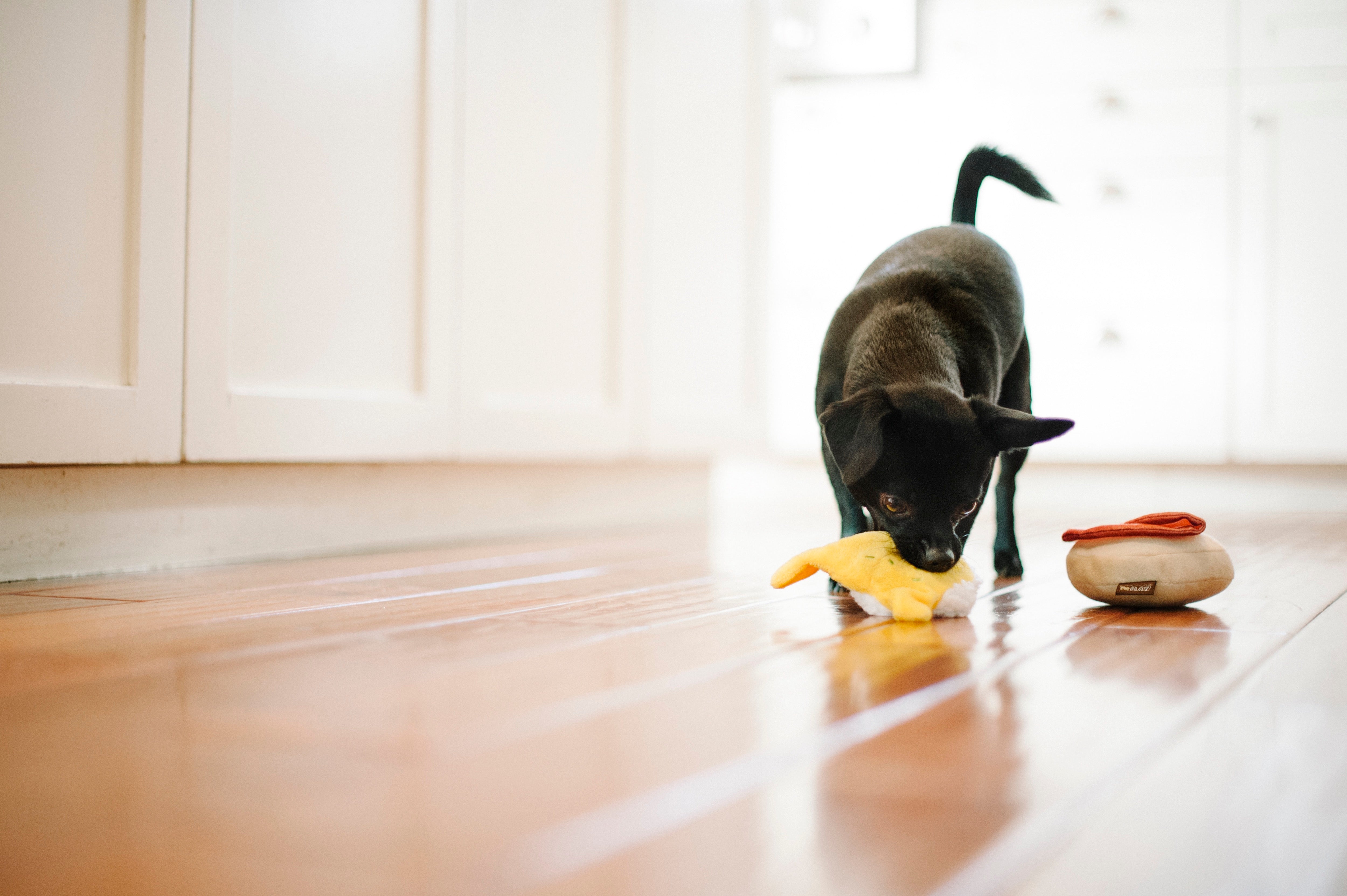 El Egg Benedict Plush Dog Toy - Barking Brunch™ Collection by Pet P.L.A.Y. | Soft & Durable Chew Toy for Small & Medium Dogs | Perfect for Playtime, Training & Cuddling