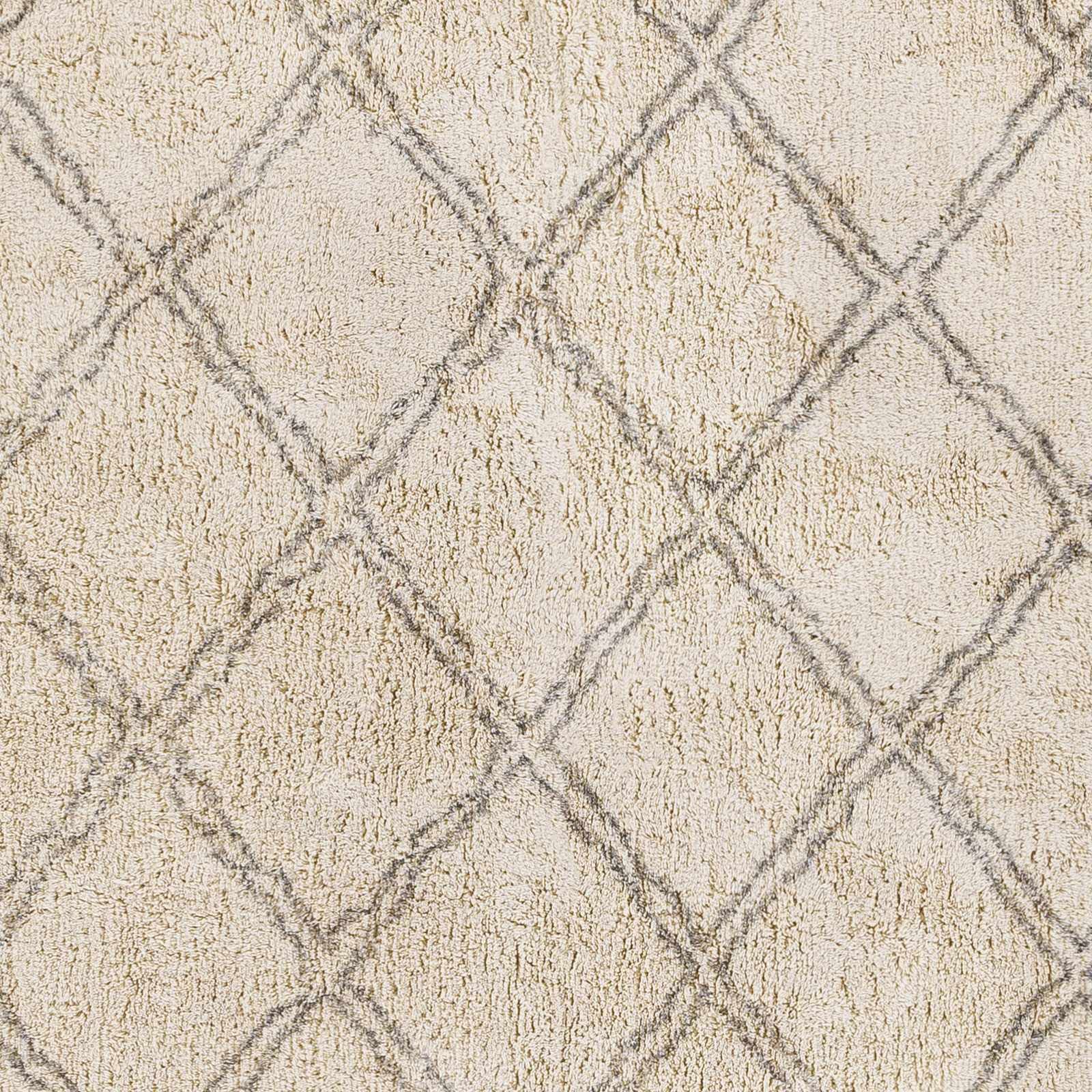 Bohemian Transitional Area Rug 8' x 10' - Gray & Cream Handwoven Rug for Living Room, Bedroom - Hauteloom Harvester Collection | Perfect for Boho Chic Decor, Cozy Home Makeover