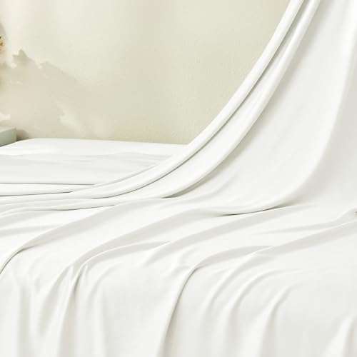 01 Cream White