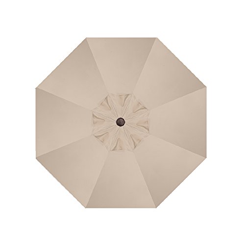 Obravia: Khaki