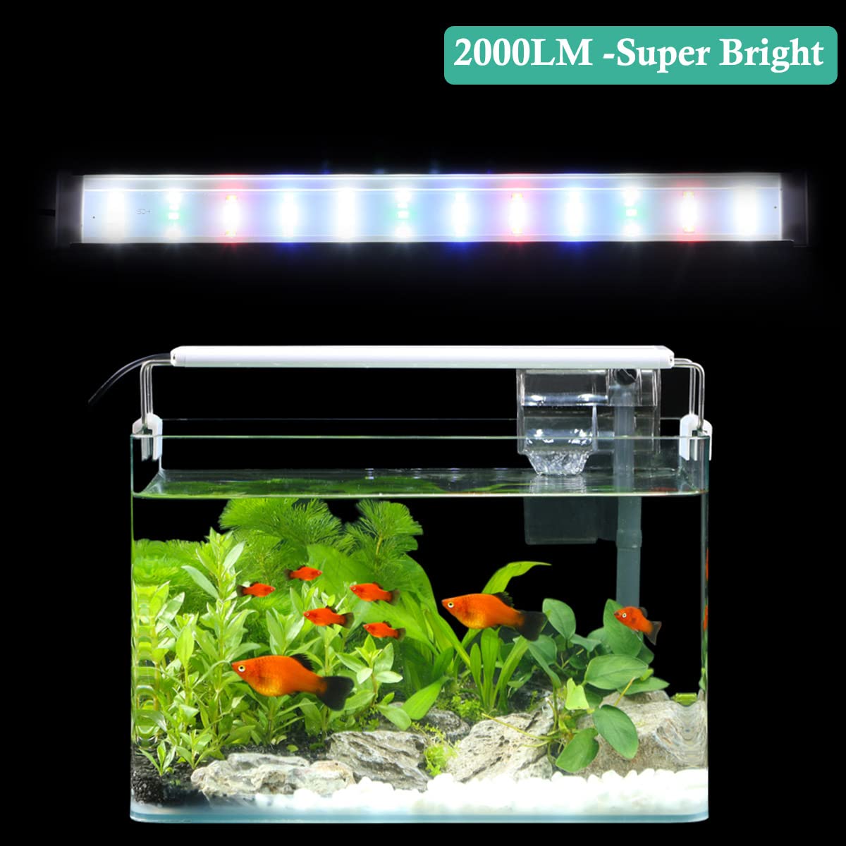 HITOP Full Spectrum LED Aquarium Light for 16-24 Inch Fish Tanks - Adjustable Timer & Extendable Brackets - Ideal for Freshwater Plants and Coral Reefs - Perfect for Home Aquariums and Office Decor