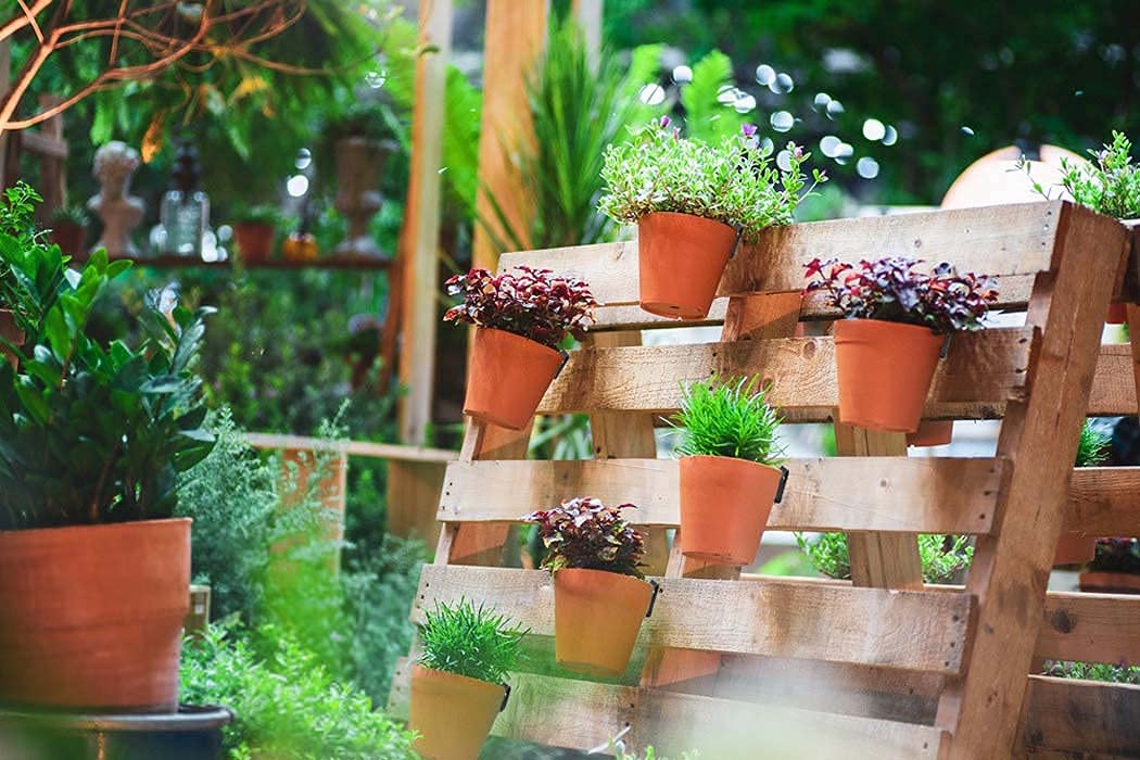 JHWANQIAN 15 Pack Heavy Duty Steel Plant Pot Clips - Secure 5 to 8 Inch Terra Cotta Pots - Rustproof Garden Plant Holder Clamps (Black, 5.2x2.2cm) - Perfect for Indoor/Outdoor Gardening, Balcony Decor & Hanging Plant Displays
