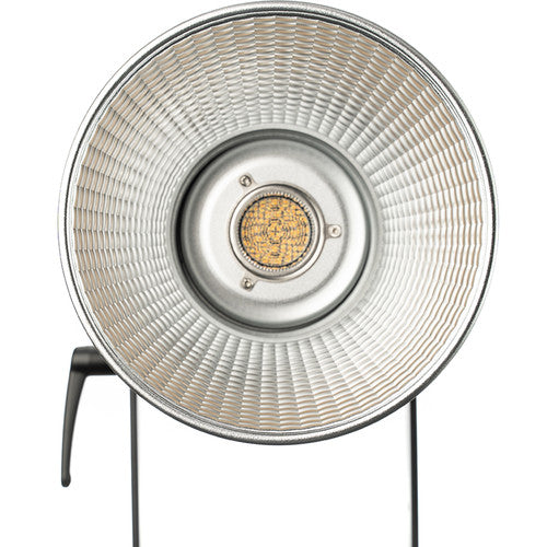 Aputure LS 300x Bi-Color LED Monolight with Gold Mount - Professional Studio Lighting for Photography & Videography - Perfect for Portraits, Product Shoots, and YouTube Content Creation