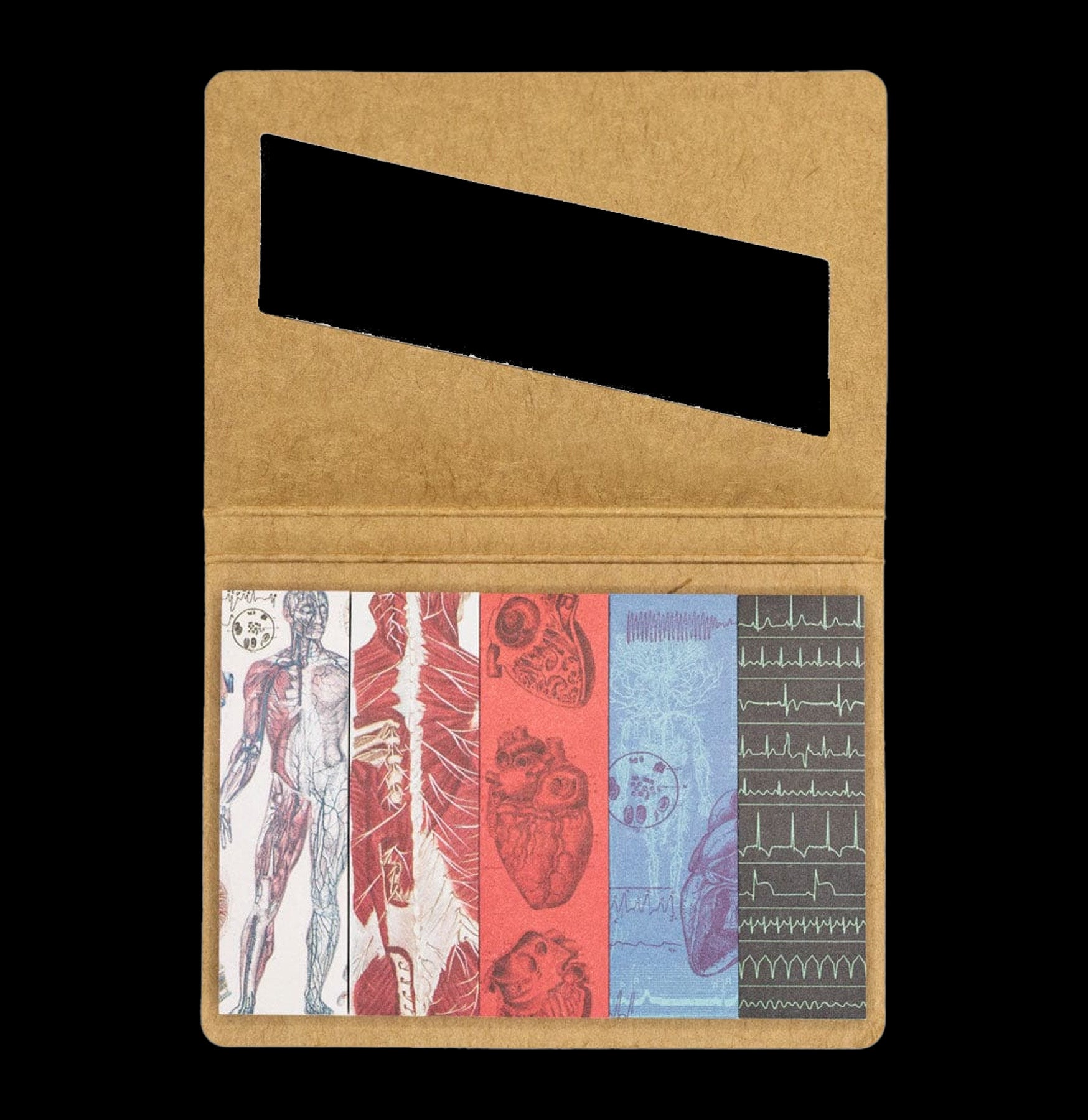 Color-Coded Anatomy Page Flags - 500 Self-Stick Index Tabs for Medical Students & Nursing Study - Perfect for Textbooks, Notebooks & Reference Books