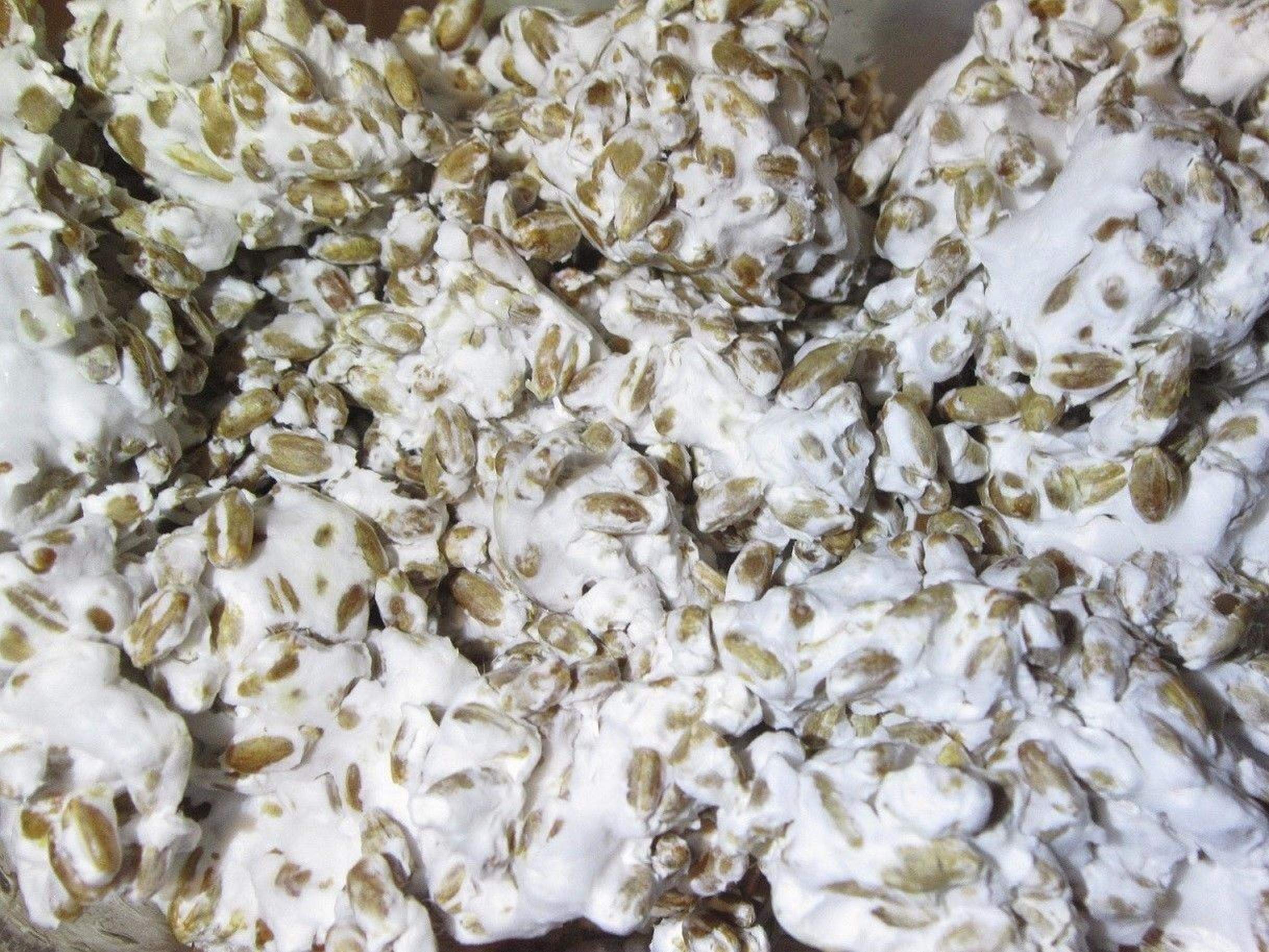 1 LB Premium White Button Mushroom Spawn Mycelium - Grow Gourmet & Medicinal Mushrooms at Home or Commercially - Ideal for Manure/Straw Compost - G1 & G2 Spawn - Perfect for Organic Farming, Urban Gardening & Mushroom Cultivation Kits