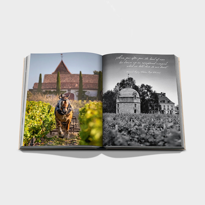 Assouline Wine & Travel France Book - Luxury French Wine Guide & Travel Inspiration for Wine Lovers & Francophiles - Perfect for Gifts, Coffee Tables & Wine Tasting Events
