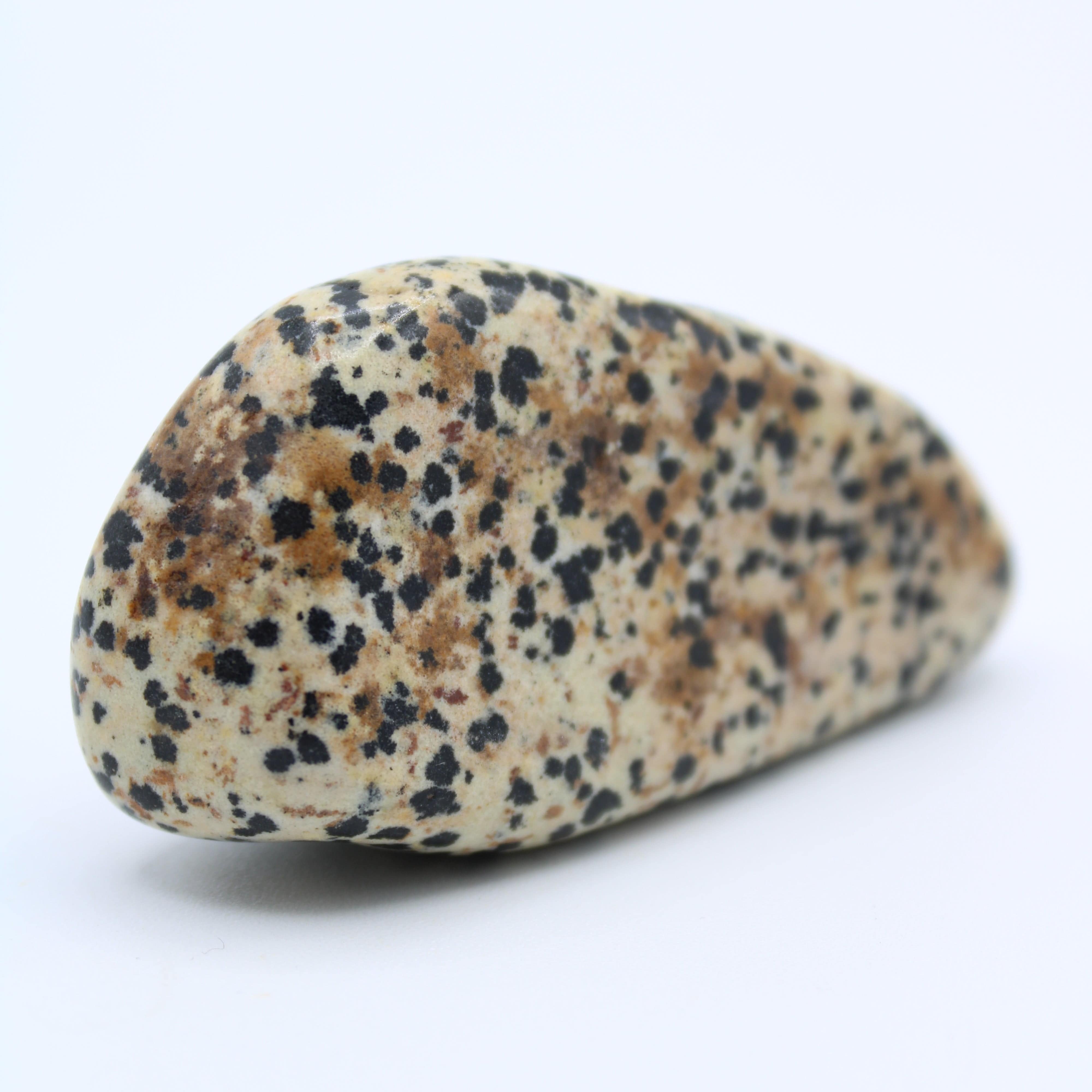 Natural Dalmatian Jasper Free Form Stone - Healing Crystal for Meditation, Energy Balancing & Home Decor | Perfect for Yoga, Reiki & Spiritual Practices