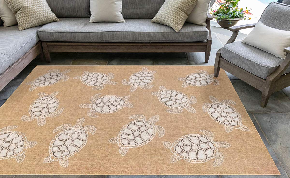 BLACK FOREST DECOR Marisol Bay Sand Indoor/Outdoor Area Rug - 8x10 Feet - Soft & Durable for Living Room, Patio, Bedroom - Water & Stain Resistant