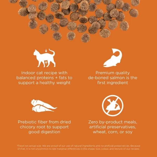 Go! Solutions Grain-Free Salmon Recipe Dry Cat Food for Healthy Skin & Coat - Supports Shiny Fur & Skin Health, Ideal for Adult Cats with Sensitive Skin