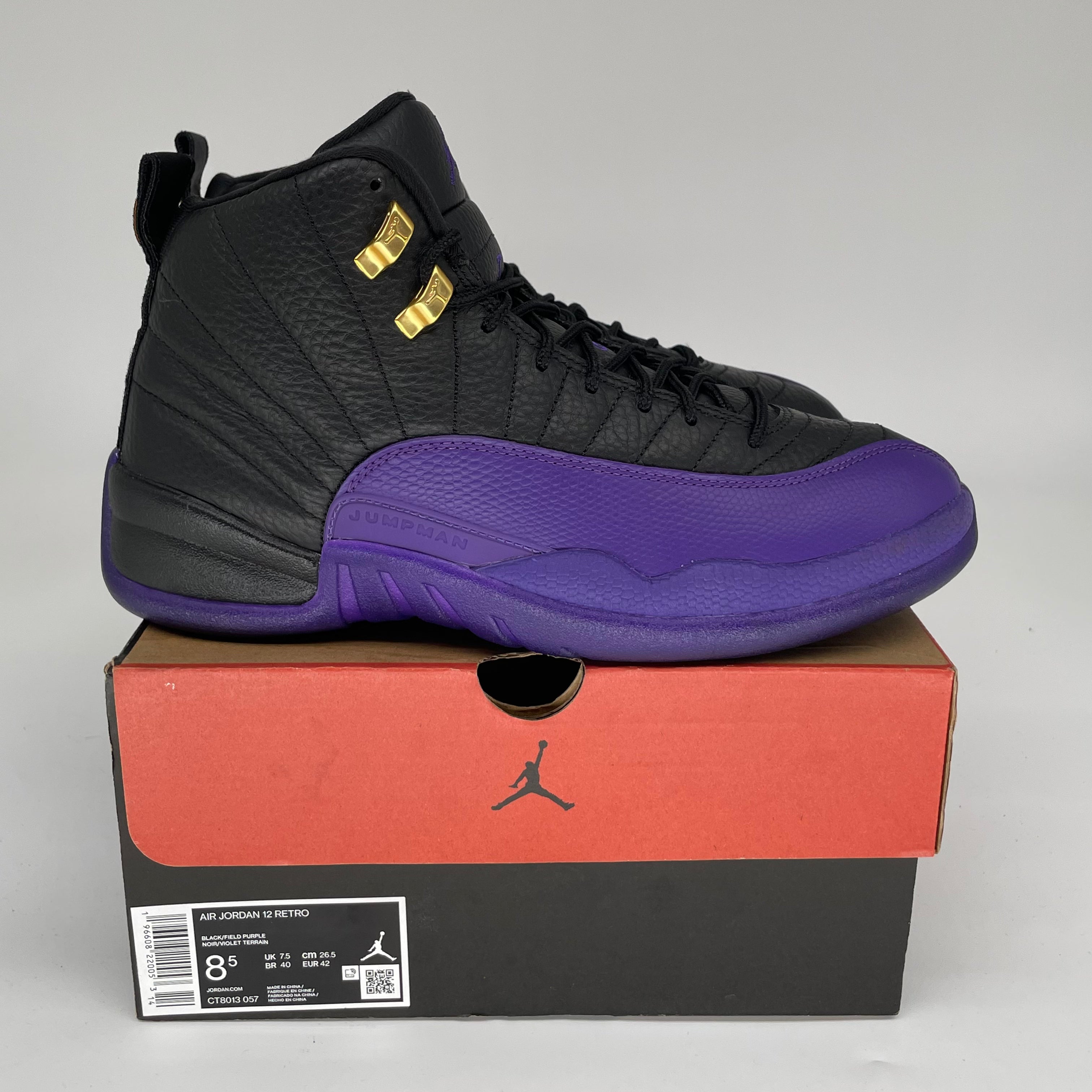 Air Jordan 12 Retro 