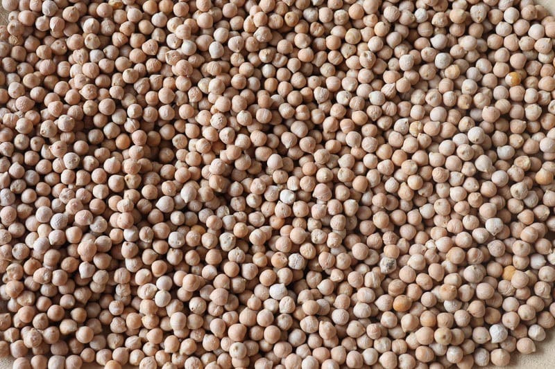 Rancho Gordo Ceci Piccoli Beans 1 lb | Premium Italian Chickpeas for Soups, Salads & Hummus | Organic Legumes for Healthy Cooking