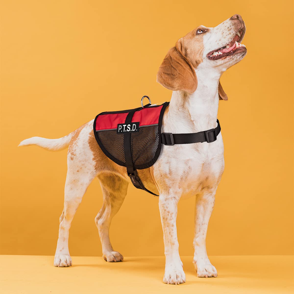 Dogline MaxAire Mesh Cooling Vest for Dogs - Breathable Adjustable Dog Vest with 2 Removable PTSD Patches (22