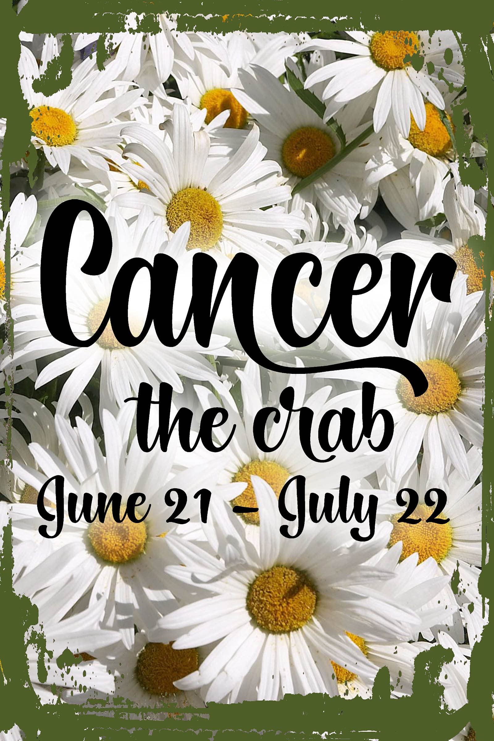 Cancer Zodiac Wall Art - Daisy Flower Decor with Cursive Astrology Sign (June 21-July 22) - 8x12 Inch Hanging Wall Sign - Perfect for Home Decor, Birthday Gifts & Zodiac-Themed Parties