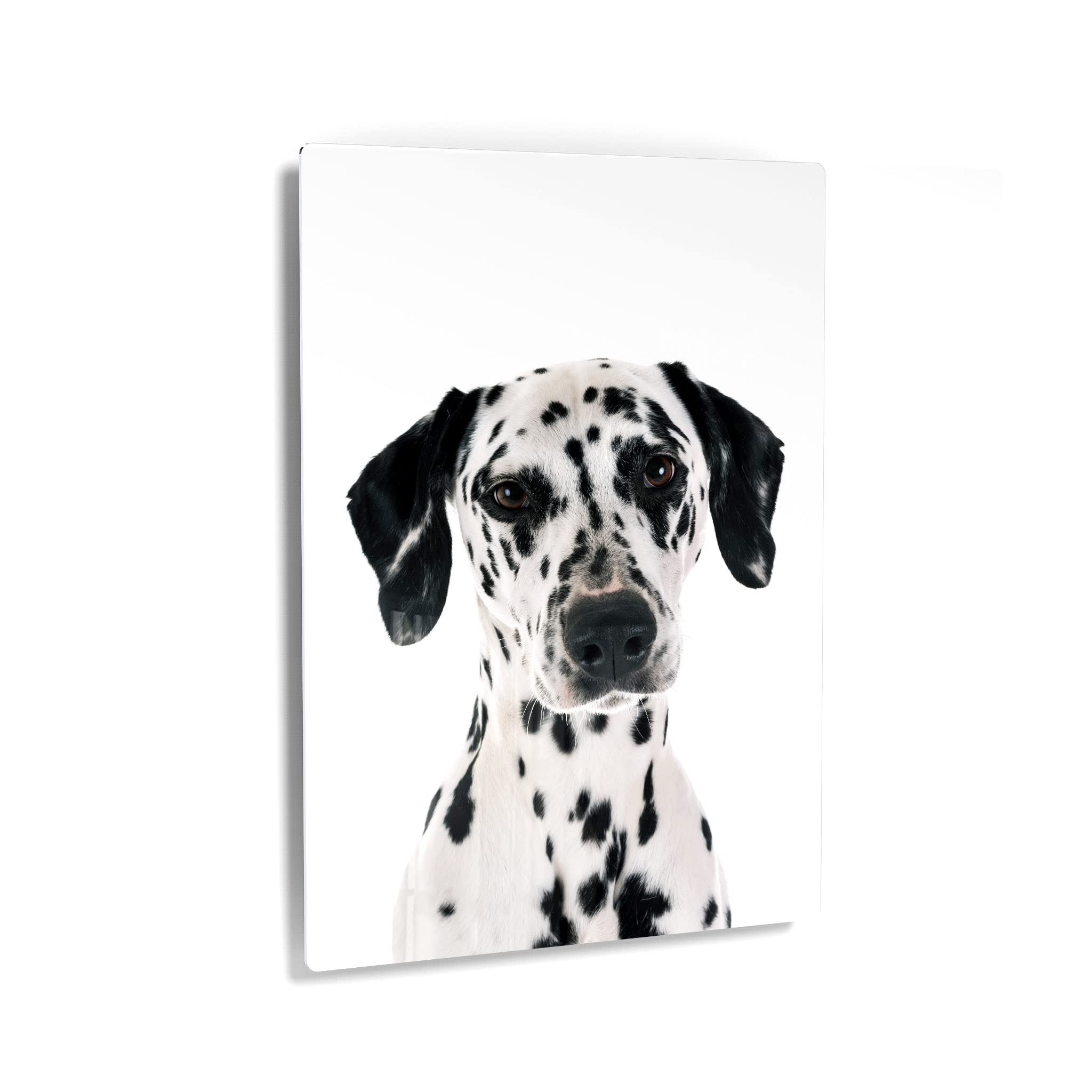 Beautiful Dalmatian Dog Puppy Portrait Metal Wall Art - Pet Lover Gift for Mom Dad, Office & Home Decor (40x30 Inches, Made in USA) | Perfect for Living Room, Bedroom, Nursery & Dog-Themed Spaces