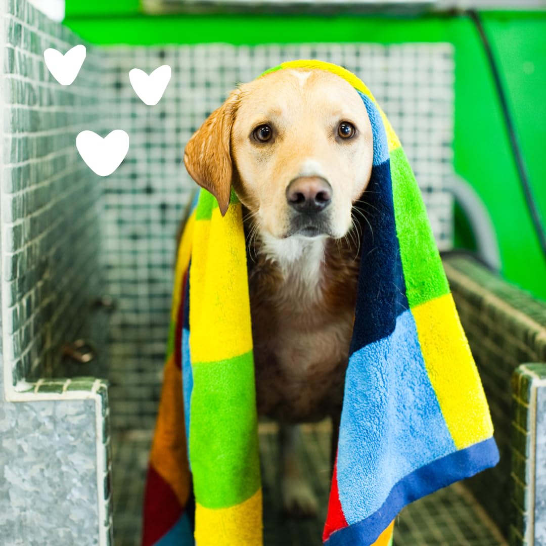 Earthbath Green Tea & Awapuhi Shed Control Dog Shampoo - Cruelty Free, Hypoallergenic Formula for Shedding & Dander Relief - Gentle Pet Wash Made in USA - 128oz Dog Bathing Supplies for Regular Grooming & Coat Maintenance