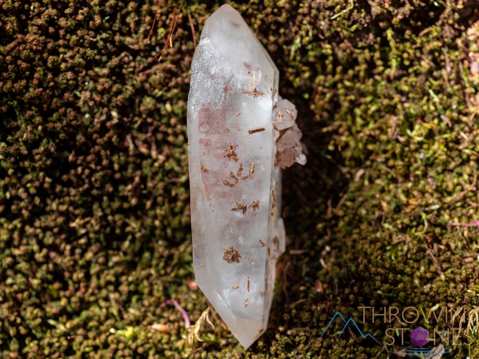 Natural Raw Quartz Crystal Point with Epidote Inclusions - Healing Stone for Home Decor, Housewarming Gift, Meditation & Energy Work (39906) | Perfect for Crystal Grids, Altars & Spiritual Spaces