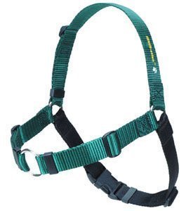 No-Pull Dog Harness for Large Dogs - Adjustable & Padded Pet Harness (Green, Wide) - Perfect for Walking, Training & Outdoor Adventures