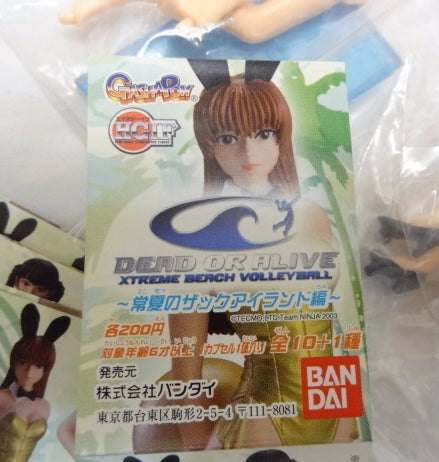 Bandai HG Dead or Alive DOA Gashapon Xtreme Beach Volleyball Swimsuit Bikini Figure Set - 10+1 Secret Trading Figures for Anime Collectors & Gaming Fans - Perfect for Display, Gifts, and DOA Merchandise Collections