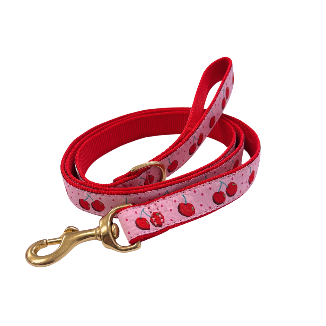Premium Dog Leash for Small to Medium Dogs - Durable & Adjustable Cherry Red Pet Lead for Walking, Training & Outdoor Adventures