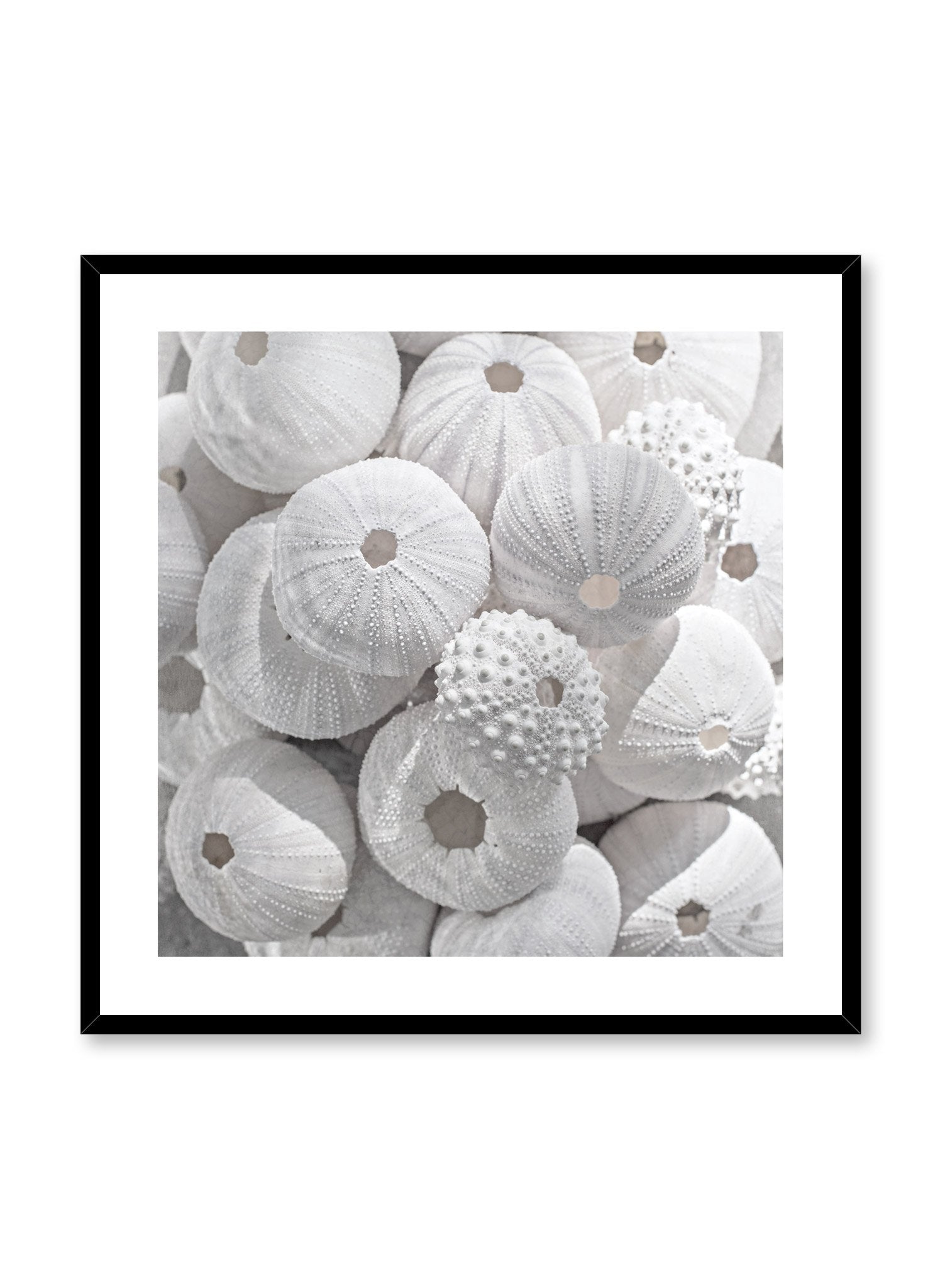 Sea Treasures Poster - Beautiful Ocean Art Print for Home & Office Decor - Perfect for Beach House, Living Room, or Classroom Wall Decor
