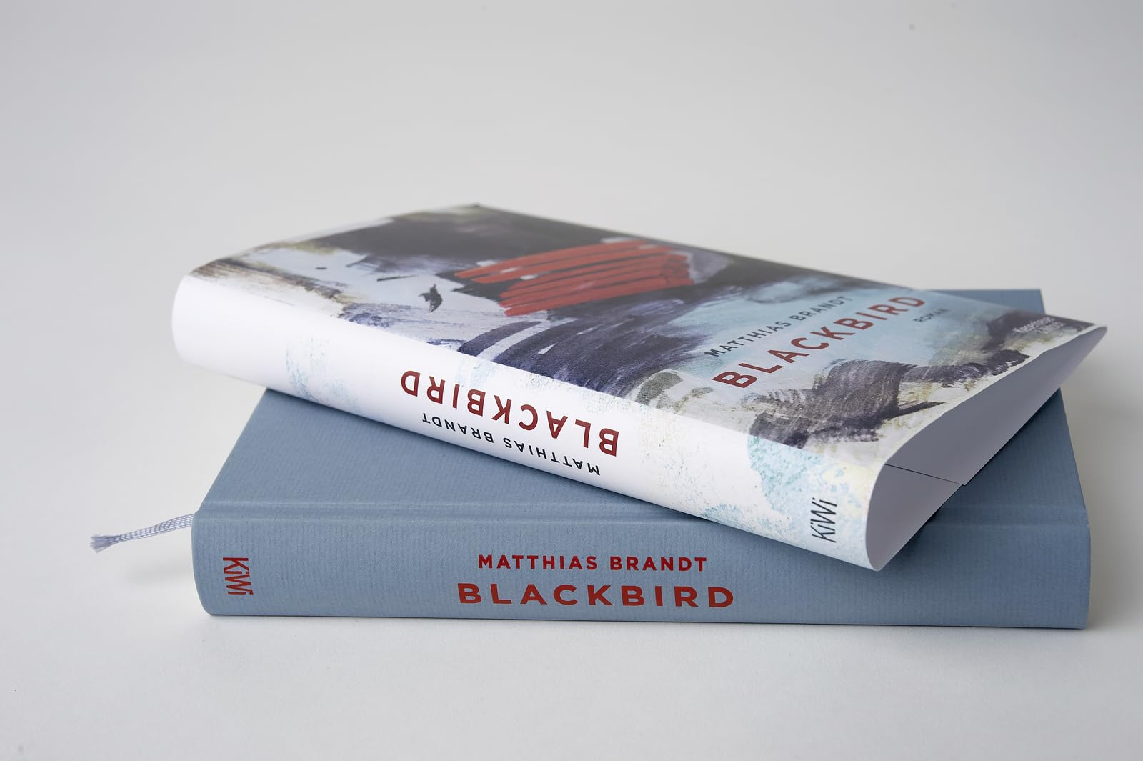 Blackbird: A Novel - Historical Fiction Book for Adults | Perfect for Book Clubs, Gifts & Relaxing Reading
