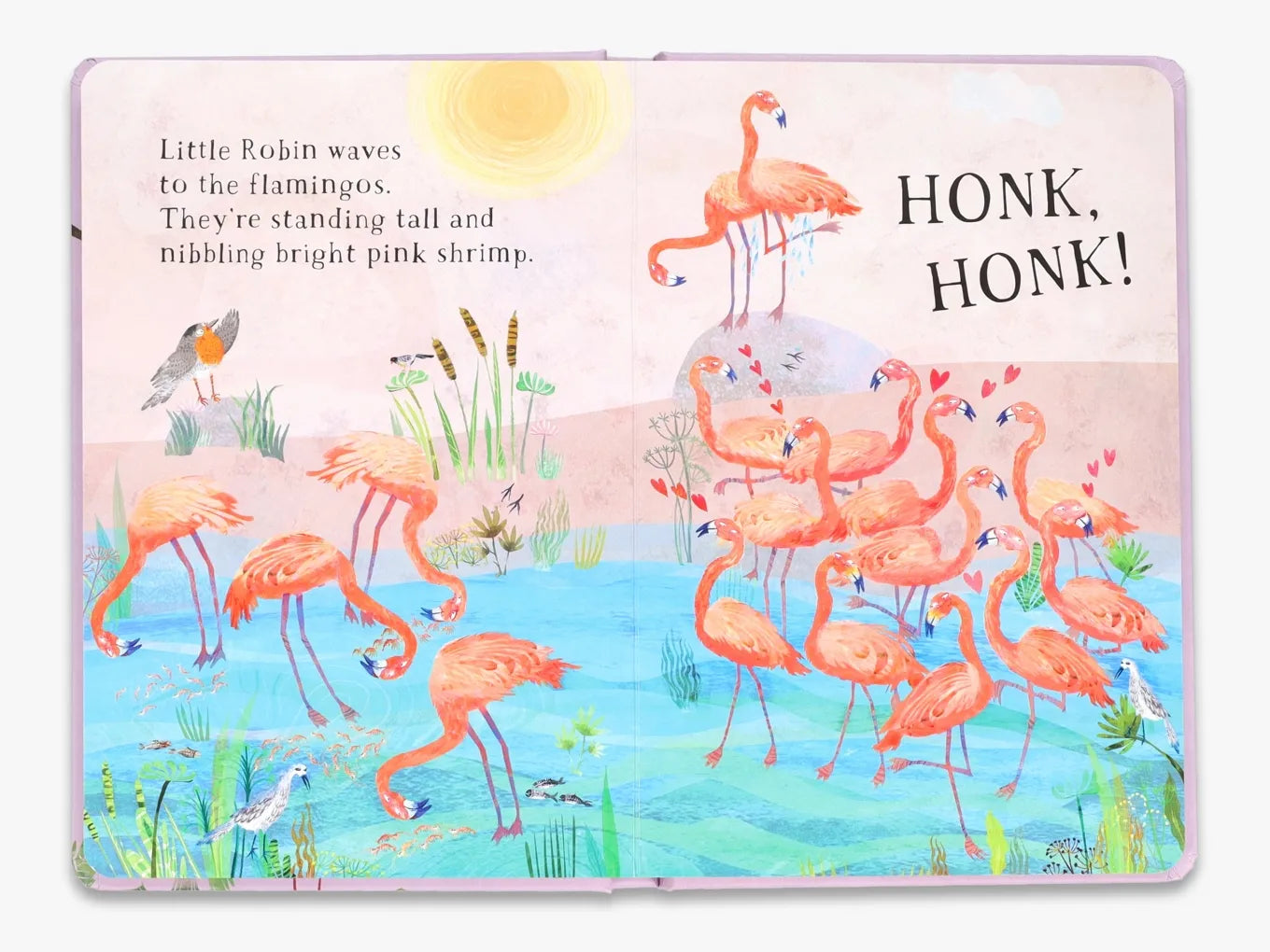 Little Robin's Book of Birds - The Big Book Series | Educational Children's Nature Guide | Perfect for Homeschooling & Classroom Learning