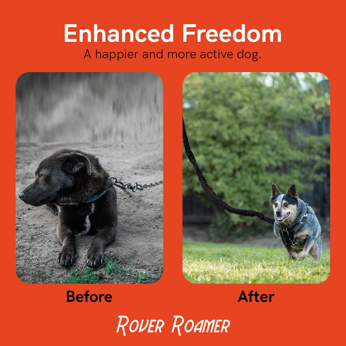 Rover Roamer Sky Track Aerial Dog Run - 50ft Portable Dog Leash for Outdoor Adventures | Durable USA-Made Dog Tether for Backyard, Camping & Hiking | Safe Freedom System for Active Dogs