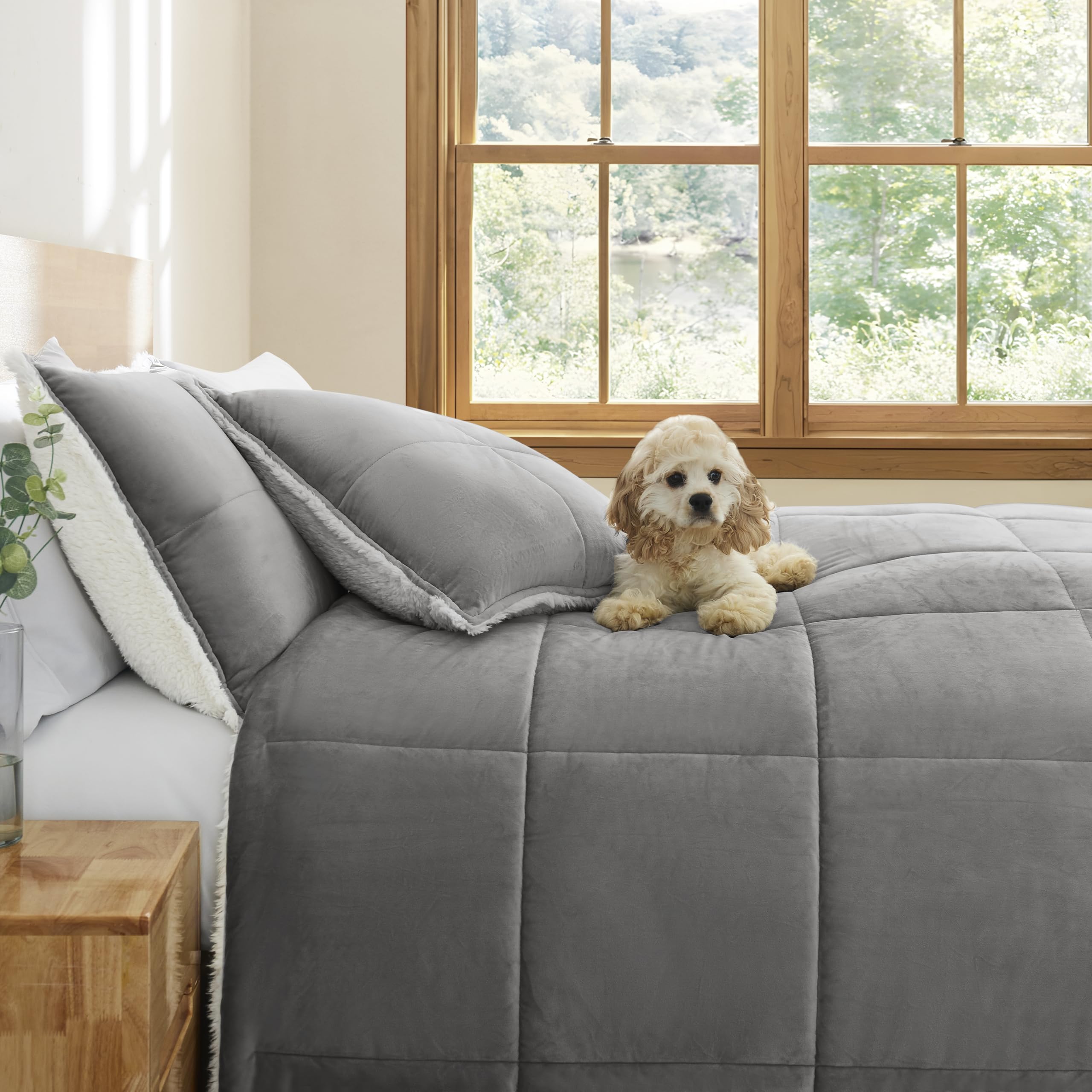UGG Blissful Reversible Full/Queen Comforter Set - Plush Fluffy Down Alternative Bedding with 2 Pillow Shams | Hypoallergenic, Breathable & Warm | White & Seal Gray | Perfect for Cozy Winter Nights & Bedroom Decor