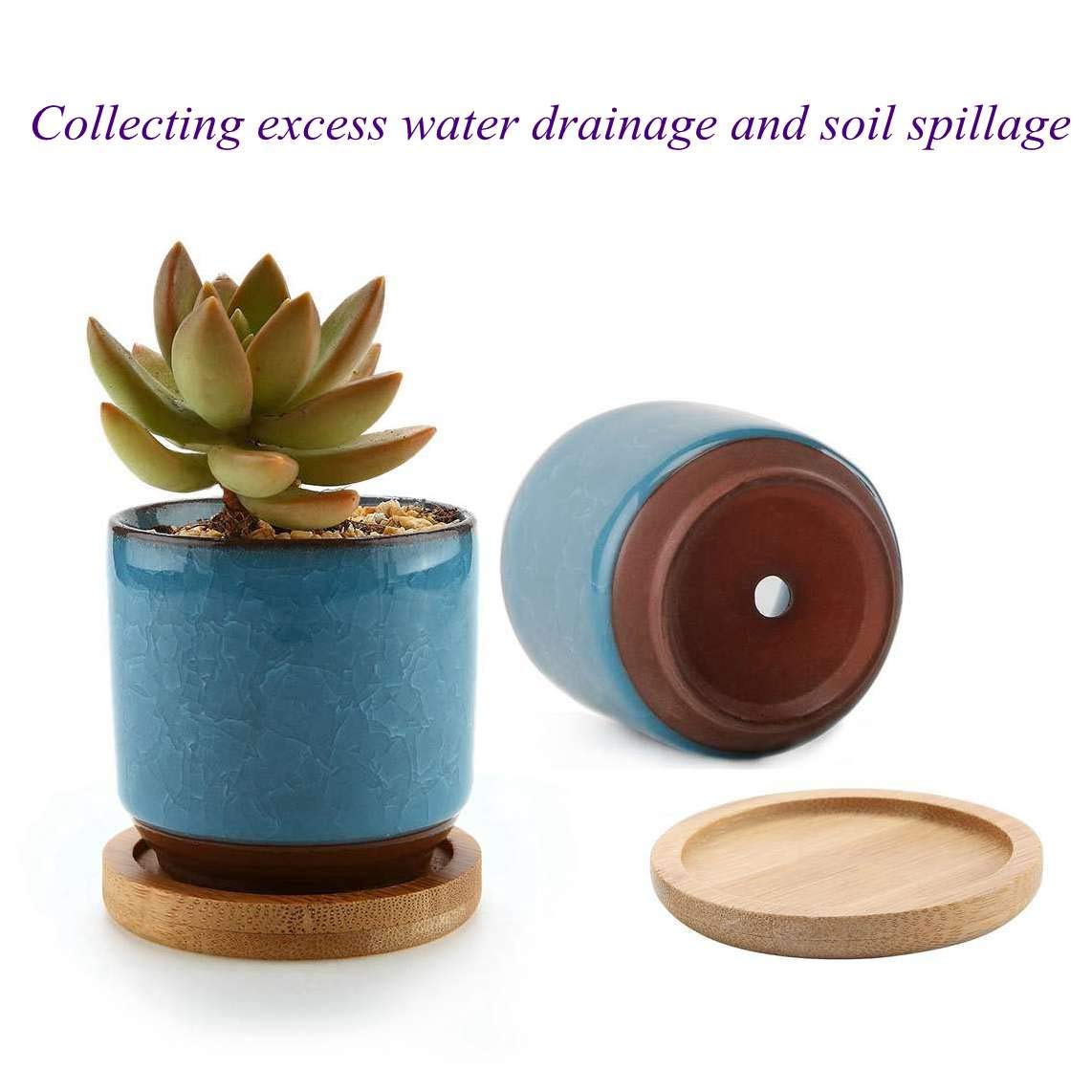 6 Packs Bamboo Plant Saucers - 9.5 x 8.5 x 1cm Round Plant Trays for Succulents, Flowers, Indoor & Outdoor Use - Perfect for Drainage, Decoration and Plant Care
