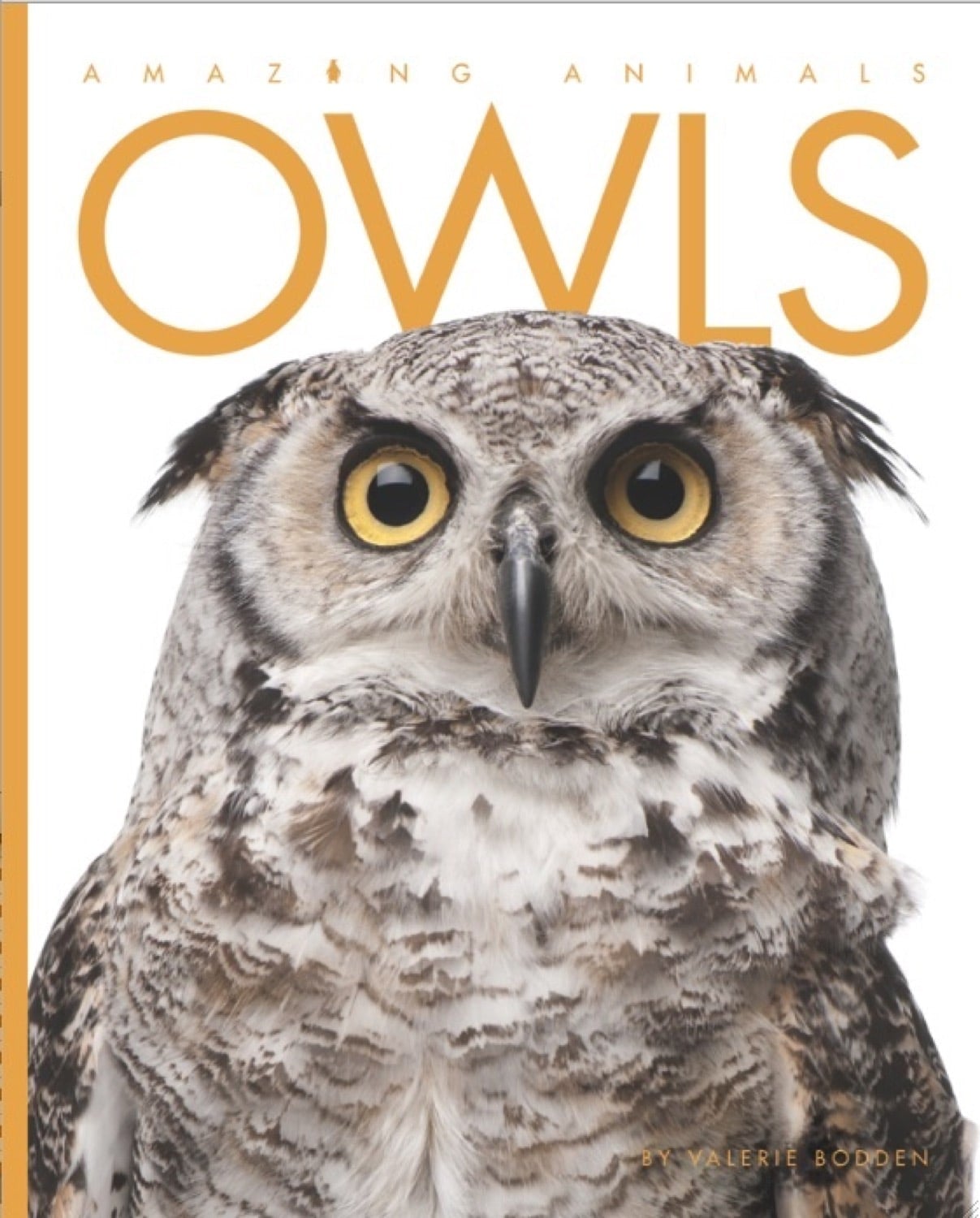 Amazing Animals (2014): Owls - Nature Documentary Film | Learn About Owl Species, Habitats & Behaviors | Perfect for Wildlife Enthusiasts & Educational Screenings