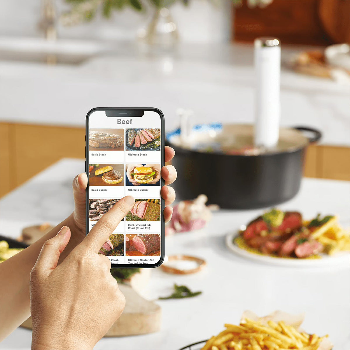 Breville Joule Turbo Sous Vide Precision Cooker BSV600PSS1BNA1 - Professional Immersion Circulator for Perfect Steak, Chicken & Seafood - Ideal for Home Chefs & Sous Vide Cooking Enthusiasts