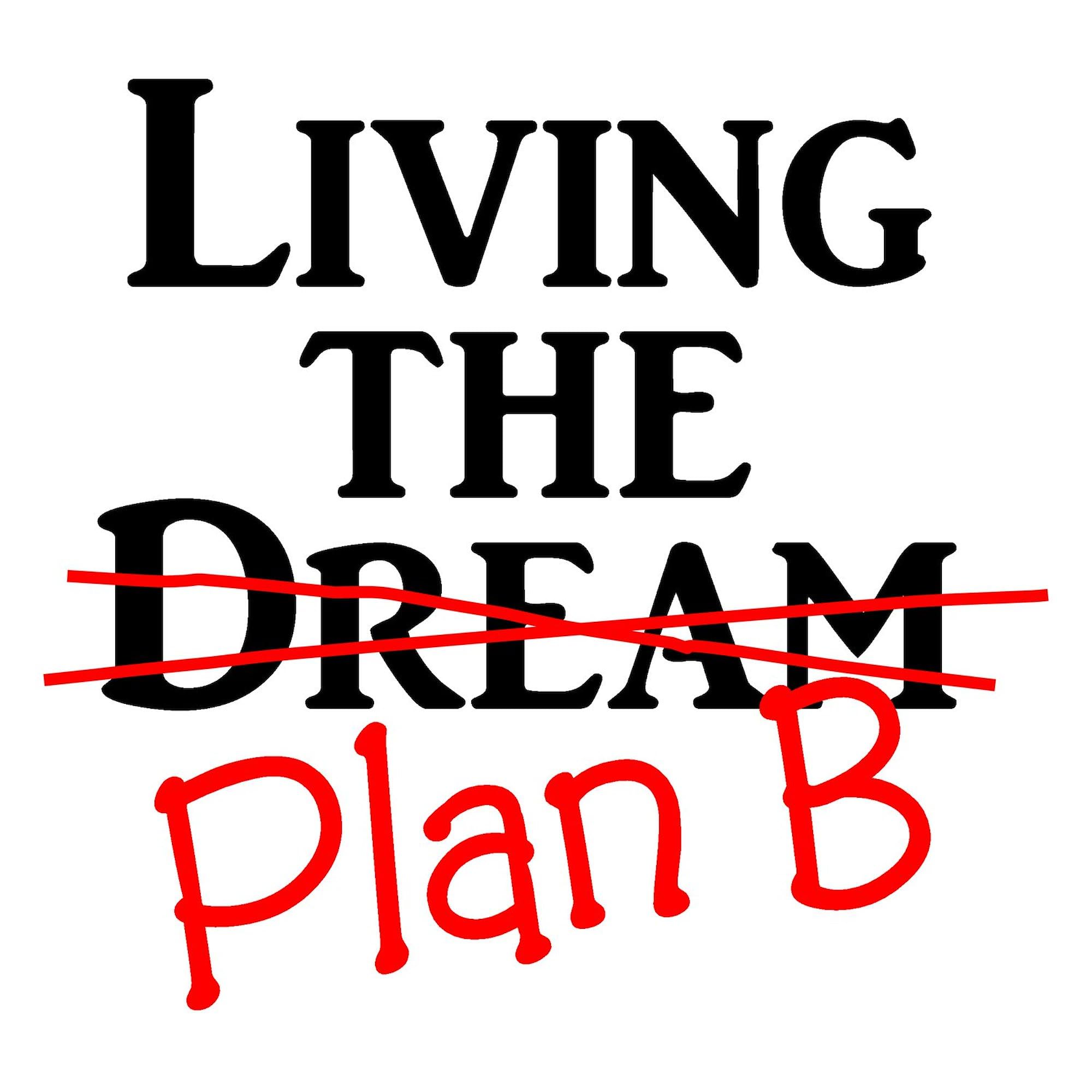 Plan B Oval Car Bumper Sticker - Funny Car Decal for Vehicles