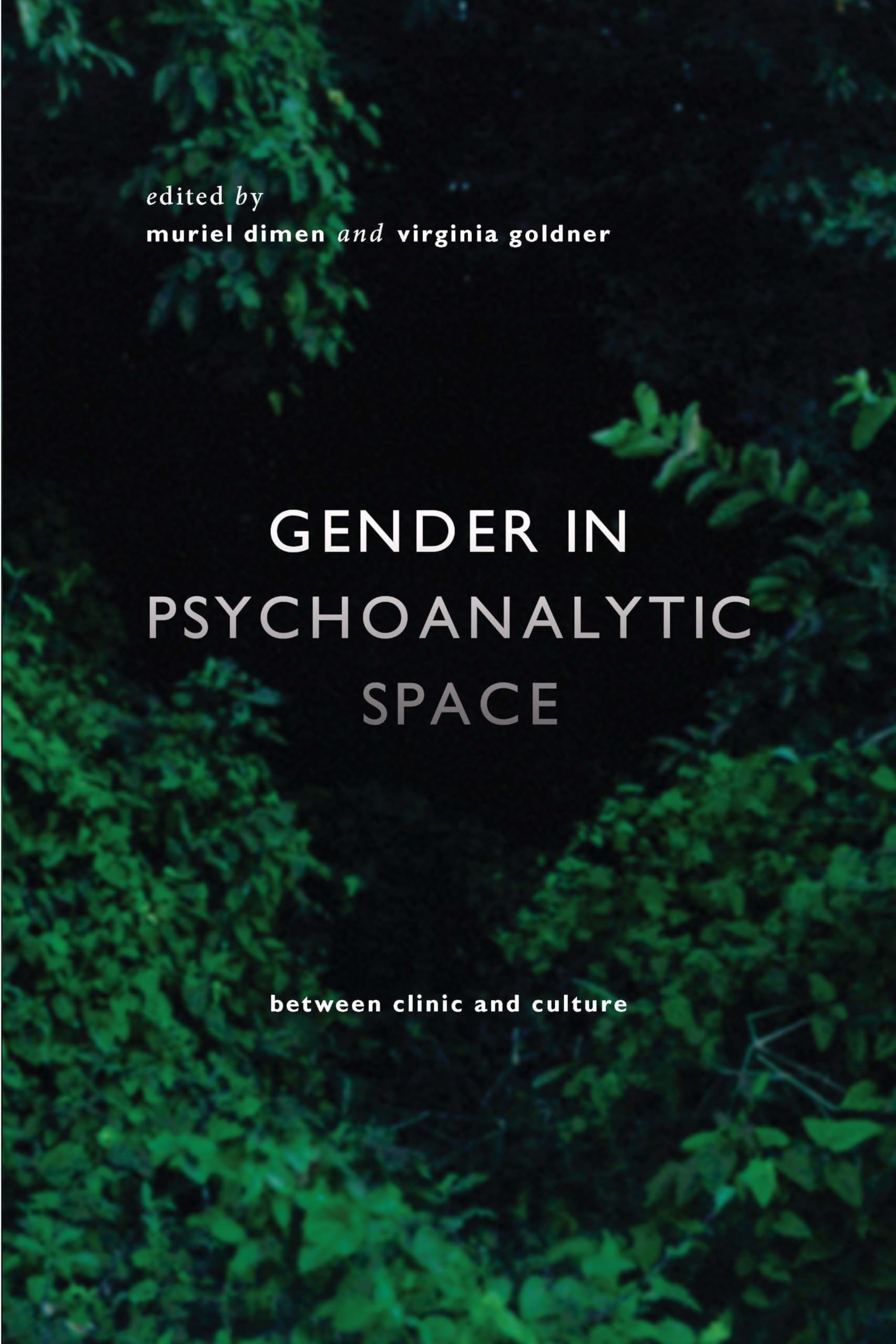 Gender in Psychoanalytic Space: Between Clinic and Culture - Contemporary Theory Series | Explore Psychoanalytic Perspectives on Gender in Clinical and Cultural Contexts