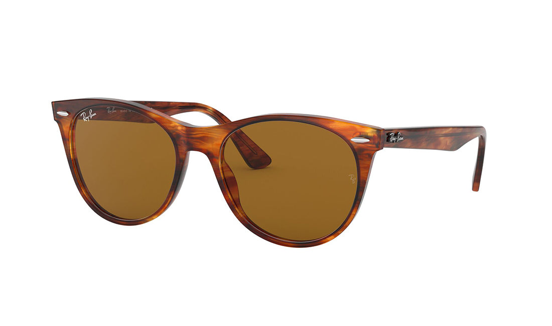 RayBan 2185 Polarized Sunglasses for Men & Women - UV Protection Aviator Style - Perfect for Driving, Travel & Outdoor Activities