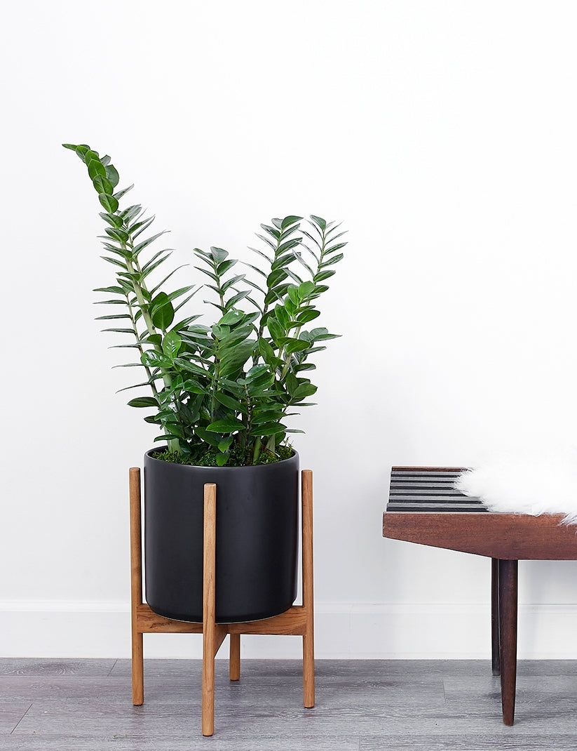 LBE Design Ceramic Planter Pot with Teak Wood Stand - Modern Indoor Outdoor Flower Pot for Home Garden, Patio, and Office Decor