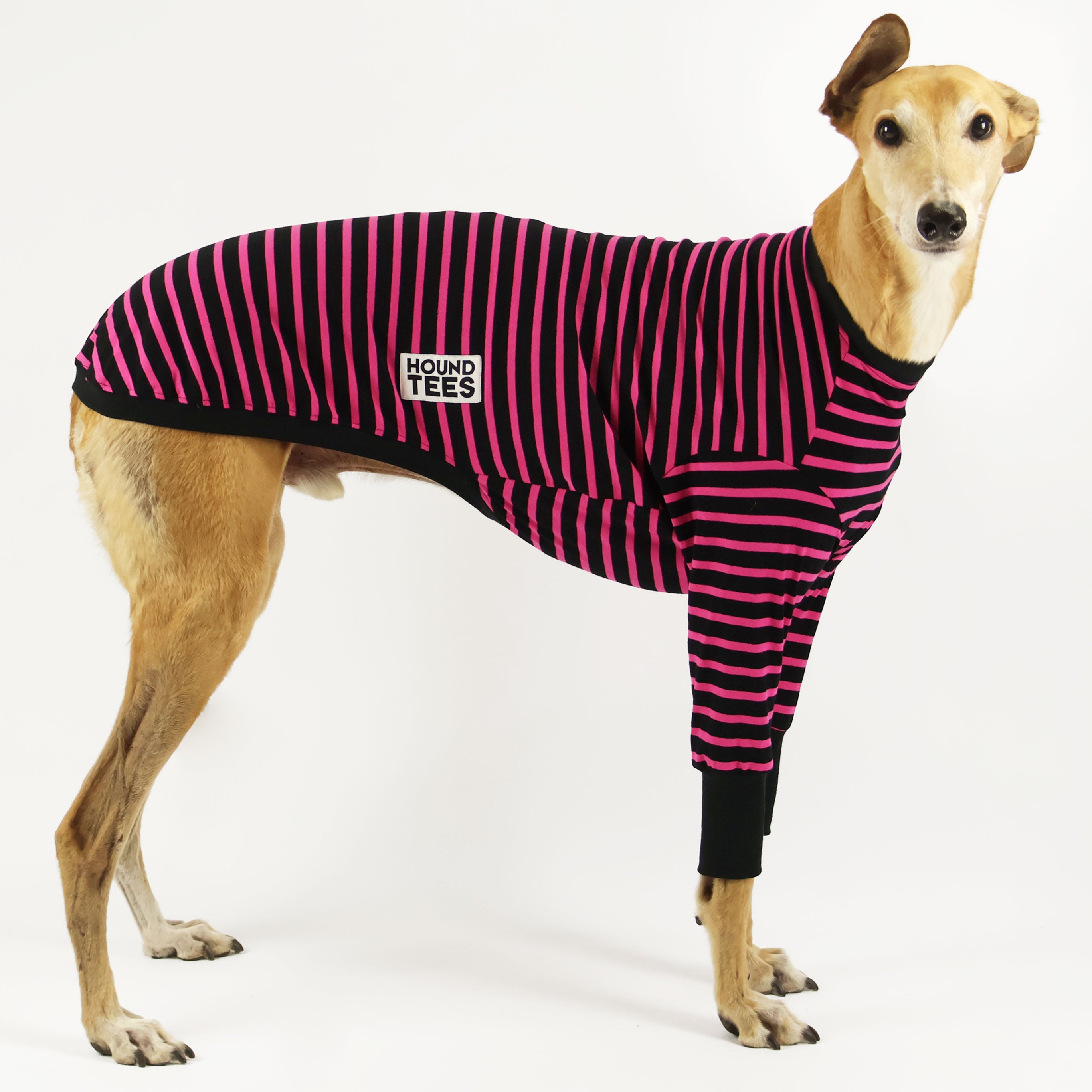 Sk8er Hound Greyhound Graphic Long Sleeve T-Shirt for Men & Women - Soft Cotton Crewneck Tee for Skateboarding, Casual Wear & Street Fashion