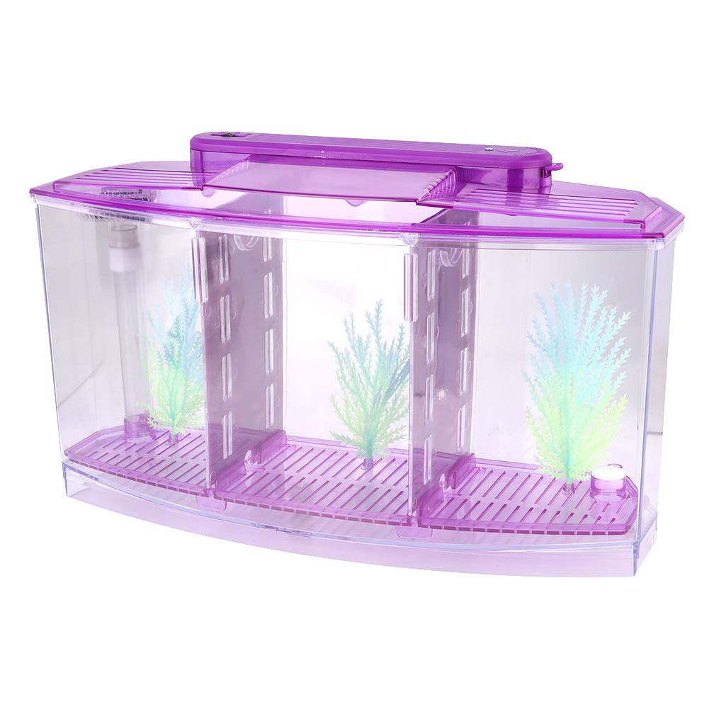 3-Section Small Aquarium Tank - Clear Desktop Fish Tank with LED Light & Water Change Valve for Betta & Small Fish (Purple) | Perfect for Home Office Decor, Kids Education & Stress Relief