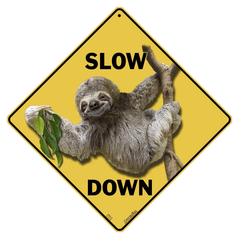 Slow Down Sloth 12
