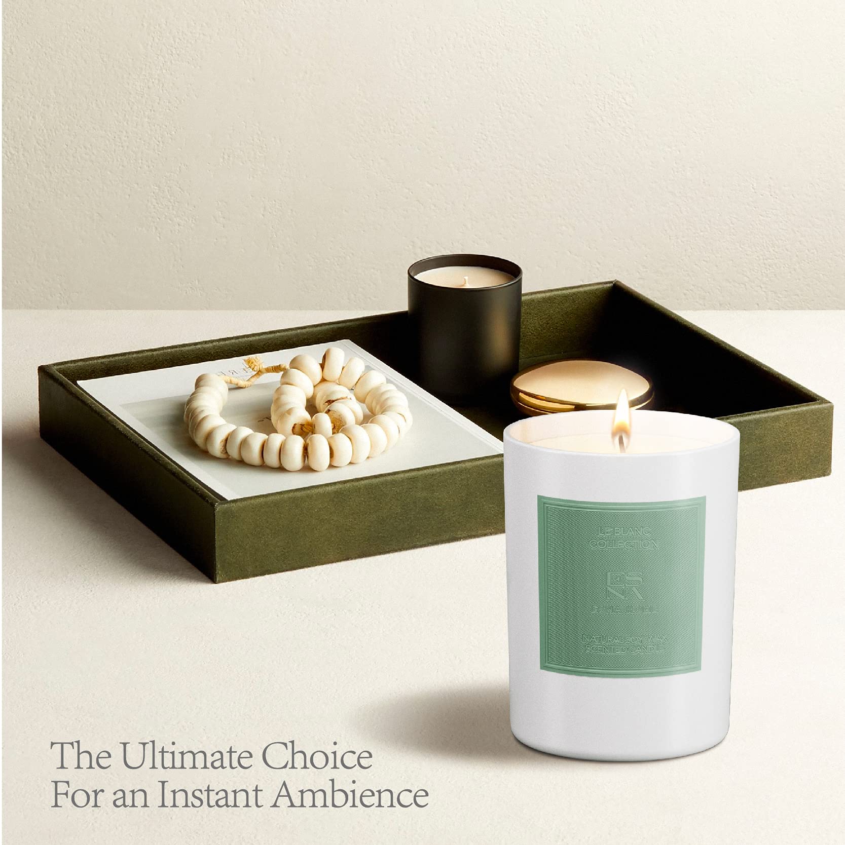 ESNA HOME Leblanc Zen Garden Aromatherapy Scented Soy Candle - 8.8oz 50-Hour Burn, Natural Essential Oils, Gift Box Included | Perfect for Relaxation, Meditation, Spa Nights & Home Decor
