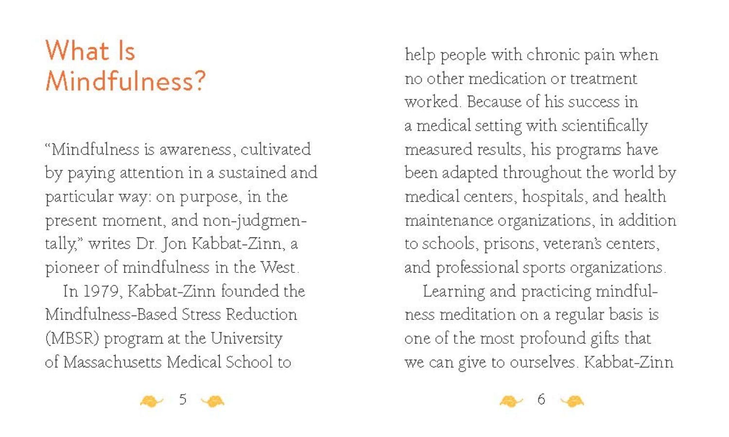 The Mini Book of Mindfulness: Simple Meditation Practices for Living in the Moment | Stress Relief & Focus Techniques | Perfect for Home, Office & Travel (RP Minis)