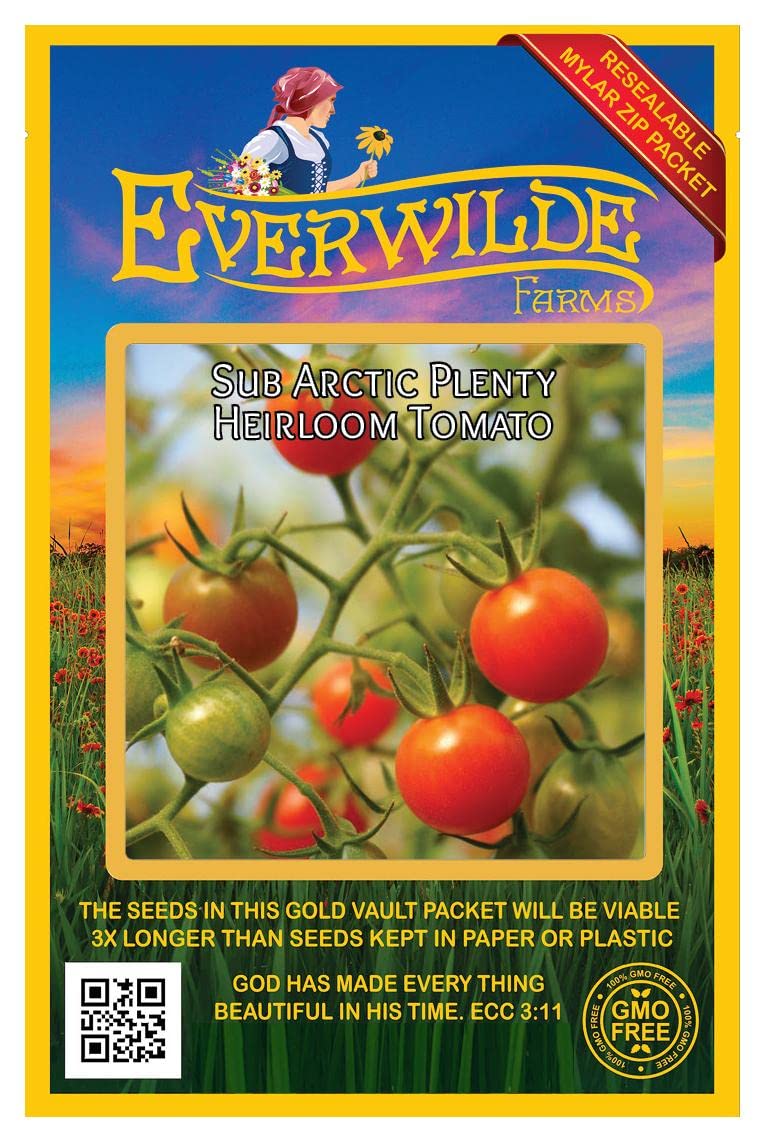 50 Sub Arctic Plenty Heirloom Tomato Seeds - Non-GMO, Open Pollinated - Perfect for Home Gardening, Greenhouses & Survival Seed Vaults - Gold Vault Jumbo Seed Packet by Everwilde Farms