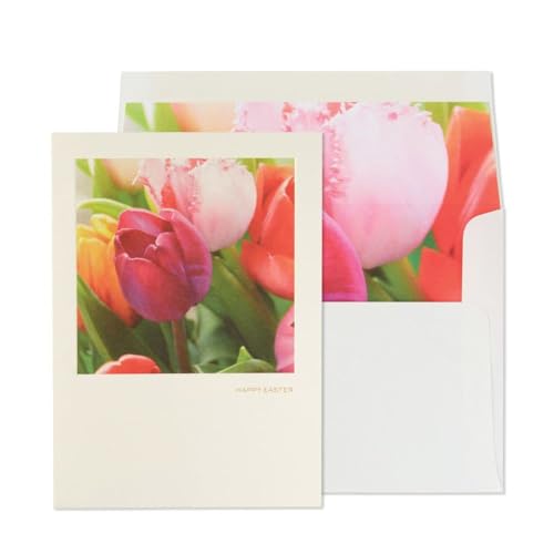 Photo Tulips