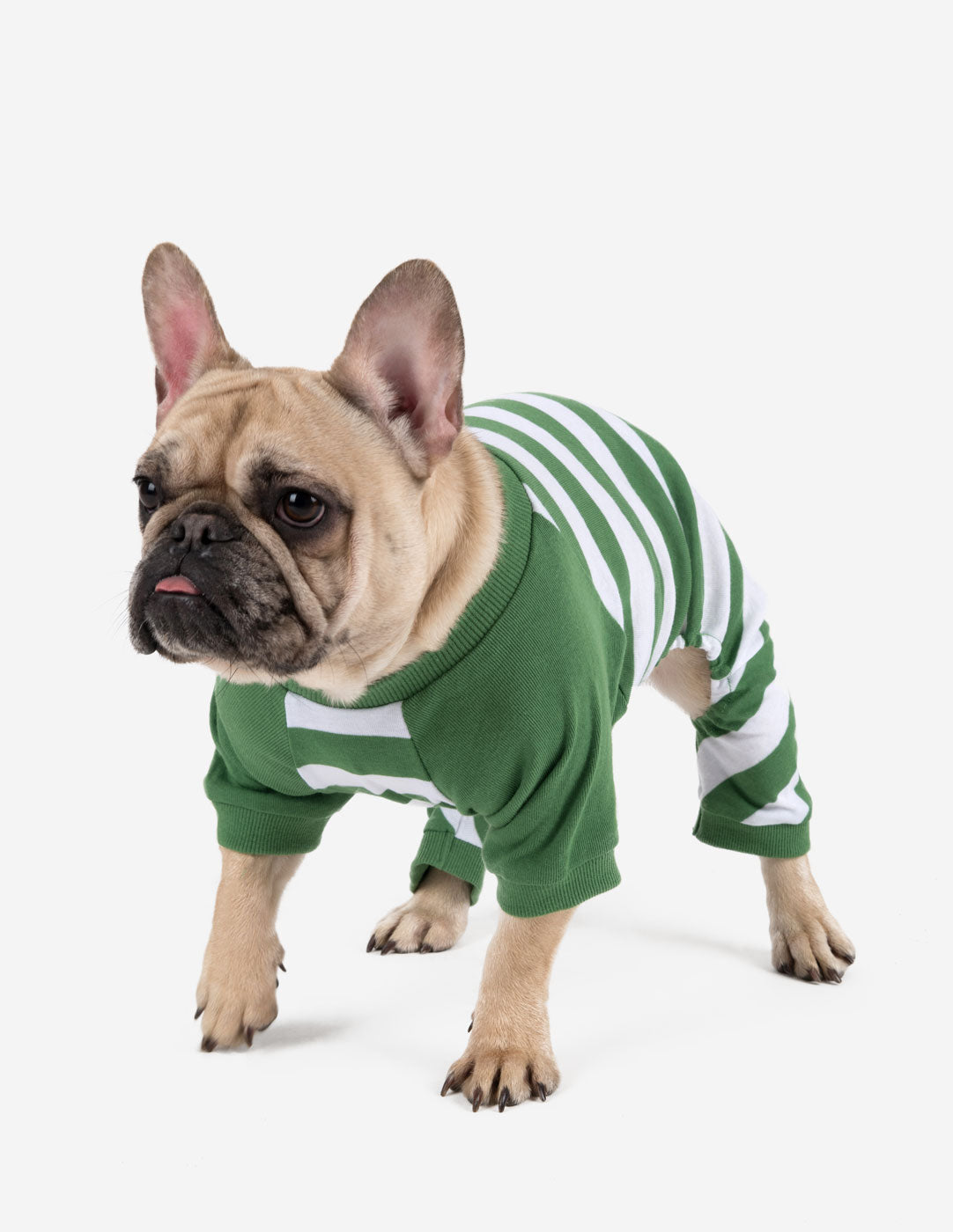 Dog Pajamas Green & White Stripes - Cozy Sleepwear for Small, Medium & Large Dogs - Perfect for Nighttime & Indoor Lounging