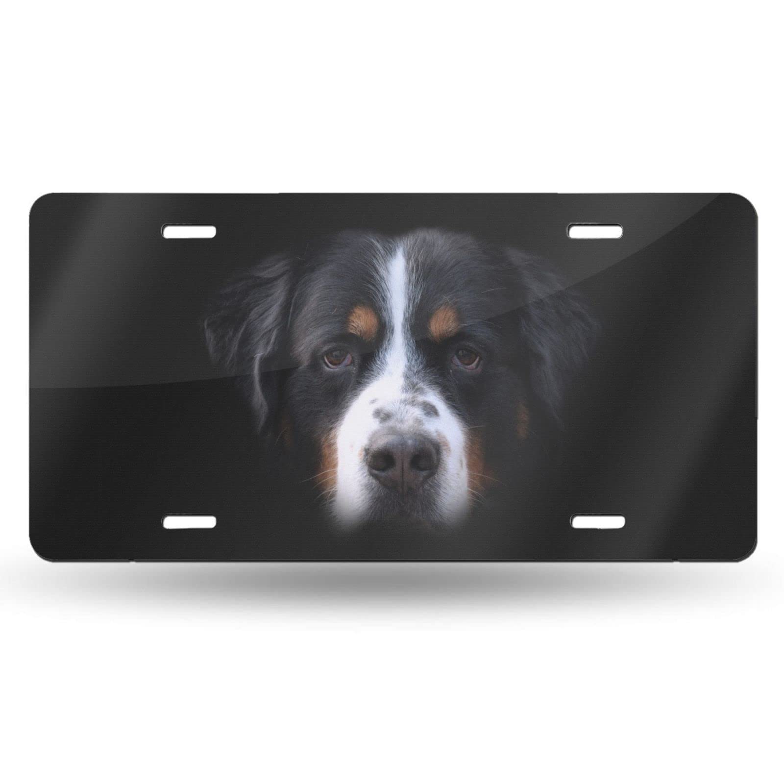 Bernese Mountain Dog Aluminum License Plate - 6x12 Inch Rust-Proof Metal Car Tag for Men, Women, Boys & Girls - Perfect for Trucks, SUVs & Classic Cars