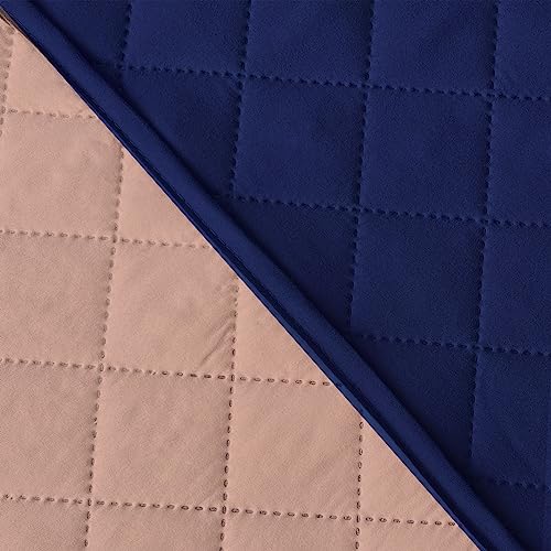 Navy/Camel