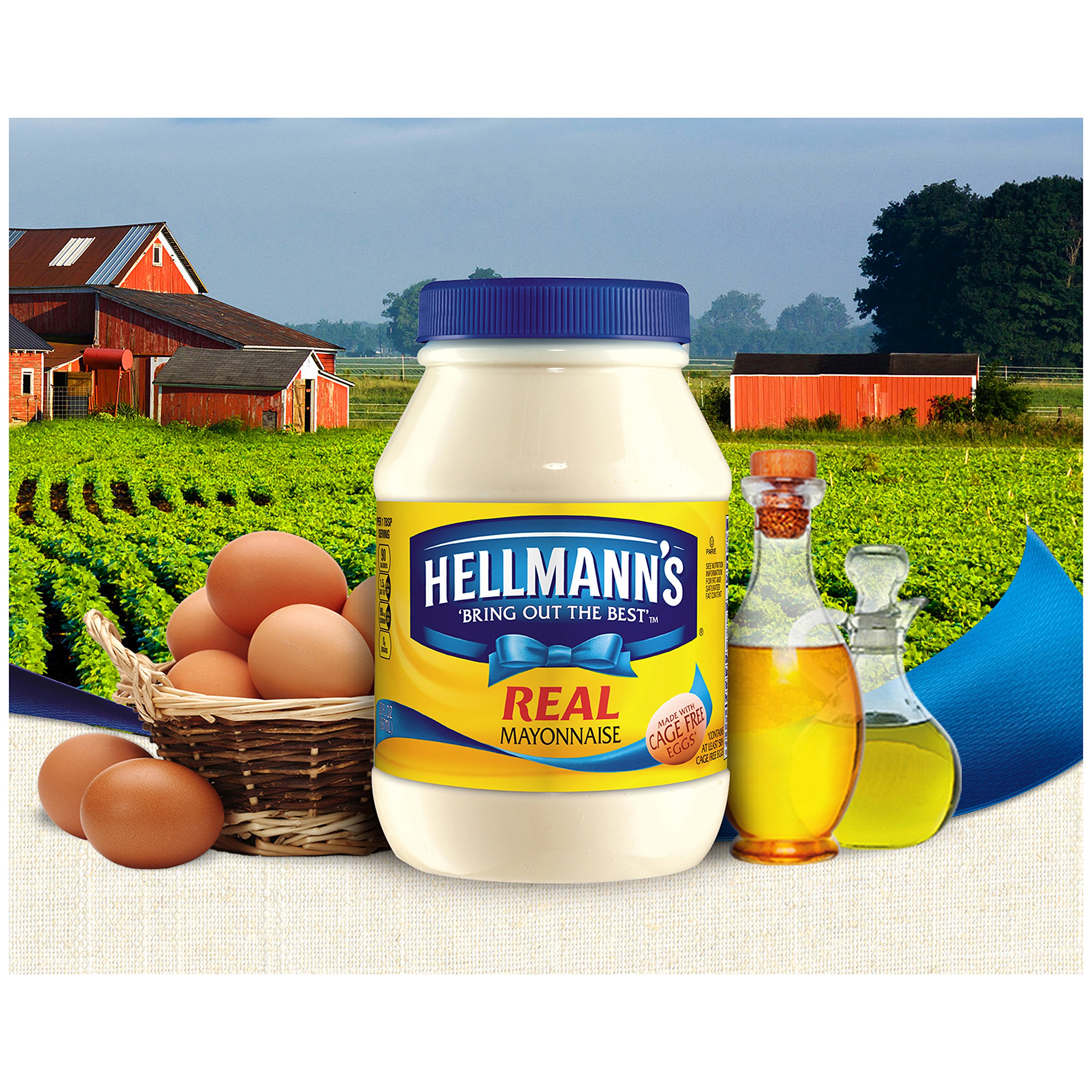 Hellmann's Real Mayonnaise with Cage-Free Eggs, 15 Fl Oz (Pack of 12) - Perfect for Sandwiches, Salads & Homemade Dressings