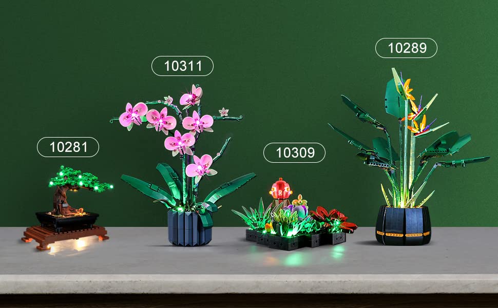 LIGHTAILING LED Light Kit for LEGO Creator Expert Bonsai Tree 10281 - DIY Building Blocks Lighting Set for Home Decoration & Night Light Display (Not Included in Original Model)